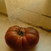 Rustic heirloom tomato resting on a marble surface with lace curtain in the background.